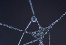 connection drop identifier code