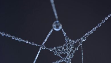 connection drop identifier code
