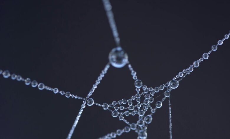 connection drop identifier code